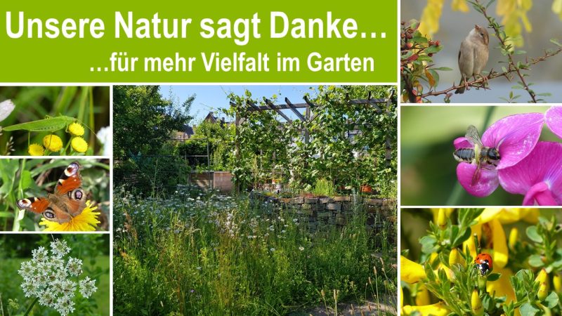 Collage aus verschiedenen Bildern, die naturnahe Gärten zeigen. Oben links in der Ecke steht "Die Natur sagt Danke... für mehr Vielfalt im Garten"